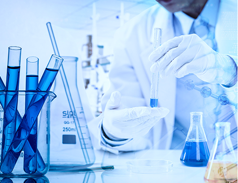 海燕策略研究中心官网,海燕研究论坛官网,海燕策略研究中心官网